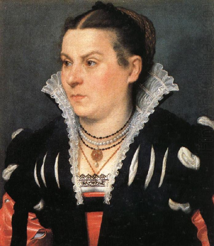 MORONI, Giovanni Battista Portrait of a Noblewoman china oil painting image